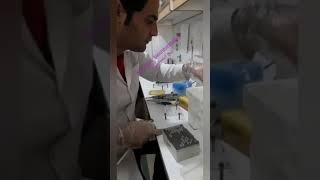 اموزش کامل انجام PCR و کار با دستگاه PCR test [upl. by Reehsab]