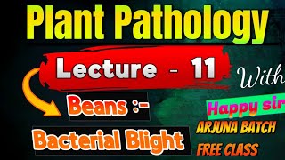 lecture11 Bacterial blight Disease  Beans Disease  Plant Pathology 5th semester  pathology [upl. by Mccowyn]