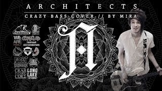 Architects  Naysayer Crazy Bass Cover [upl. by Klockau]