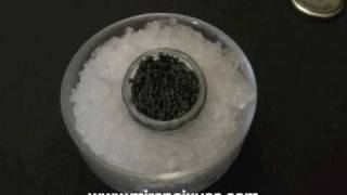 Learn about different types of caviar before you buy [upl. by Wheelwright10]