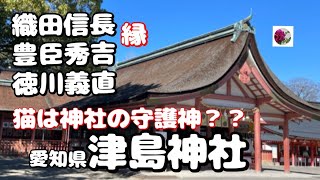 🌹⛩愛知県津島神社に参拝しに行きました。織田信長、豊臣秀吉、徳川義直などの協力もある神社です。猫も登場し何やら貢献しています。詳しくは概要欄（その他）をご覧下さいね。 [upl. by Navaj]