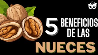 Los 5 Increíbles BENEFICIOS de las NUECES que Debes Conocer [upl. by Bland]