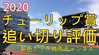 【追い切り評価】2020チューリップ賞！レシステンシアは1週前より格段に自分から動けた？ [upl. by Eissel]