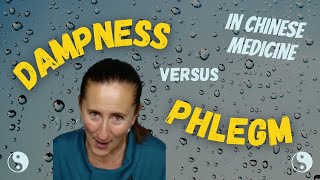 Dampness versus Phlegm in Chinese Medicine with treatment [upl. by Lorre474]