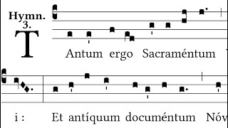 Tantum Ergo Sacramentum  Gregorian Chant [upl. by Sitoiganap38]