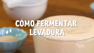 CÓMO FERMENTAR LEVADURA [upl. by Farrell]