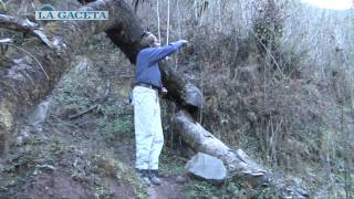 Aburrido del pueblo decidió vivir en una cueva en las montañas de San Pedro de Colalao [upl. by Adleme]