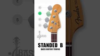 How To Tune a Bass Guitar Stranded B  4 Strings By ChamisBass  fender chamisbass shorts [upl. by Atinet]