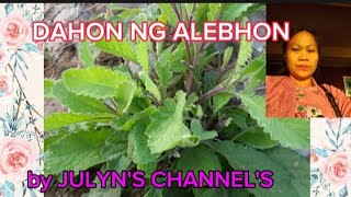 ILONGGO TERMS NATIVE ALEBHON JULYNSCHANNELS [upl. by Aetnahc]