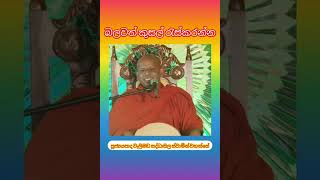 බලවත් කුසල් රැස්කරන්න ven Welimada Saddhaseela thero [upl. by Ahsiken]