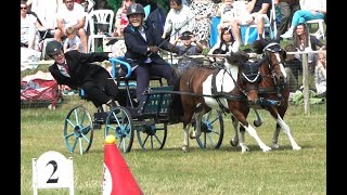 FIRST SCURRY EVENT AT MONMOUTH SHOW 18th AUGUST 2024 [upl. by Assilak]