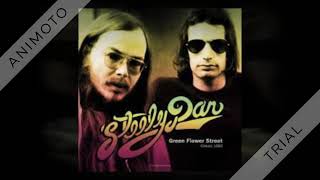 Steely Dan  Josie  1978 [upl. by Favianus]