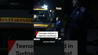 Teenager stabbed in Campsie Sydney [upl. by Norward]