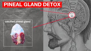 Unlocking Your Third Eye How to Decalcify Your Pineal Gland [upl. by Nodlehs89]