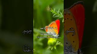 💕Heart Touching Quran Status  Quran Urdu translation WhatsApp status tiktok quran love [upl. by Drais]