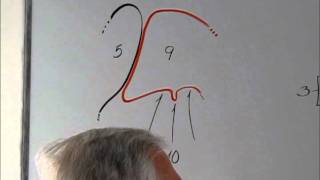 Thyroid Gland 3 By Prof Enrique Sainz [upl. by Rairb495]