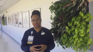 Sentara Healthcare VizientAACN Nurse Residency Program™ [upl. by Katt770]