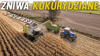 Kukurydziane Manewry2022ClaasLexion650 w AkcjiGr ChlubaGr Lipok AgroGrzechu [upl. by Mandle911]