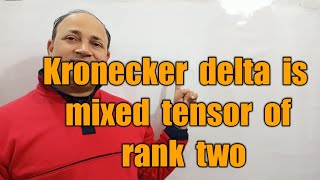 kronecker delta is mixed tensor of rank two tensor algebra bsc Msc maths in hindi by Hd sir [upl. by Ainna]