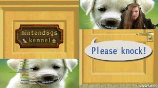 Wayneradiotv  Nintendogs Stream [upl. by Anhsirk]