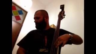 Framus Triumphator Electric Upright Bass [upl. by Eecal]