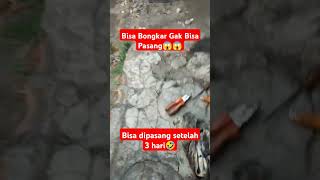 bengkel pro butuh beberapa jam kita cuman butuh 3 hari bongkar transmisi🤣 [upl. by Janean]