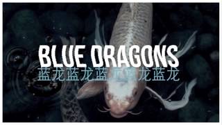 DrakeAap RockyYung Lean Type Beat quotBlue Dragonsquot Hip Hop Beat Instrumental New 2014 [upl. by Anis]