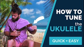 How to tune your Ukulele Easy Ukulele Tutorial [upl. by Malorie]