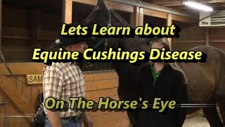 Learn to recognize Cushings Disease The Horses Eye Presents Recognizing Equine Cushings symptoms [upl. by Lever253]