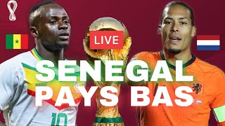 🔴🇸🇳🇳🇱SENEGAL  PAYS BAS LIVE  🔥MATCH COUPE DU MONDE 2022  WORLD CUP DIRECT [upl. by James870]