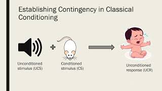 Contiguity and Contingency in Classical and Operant Conditioning [upl. by Bollay]