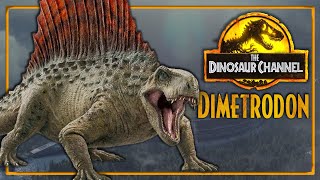 What Was The Dimetrodon  The Dinosaur Channel [upl. by Odinevneib482]