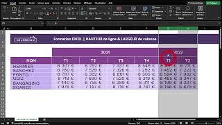 HAUTEUR DE LIGNE ET LARGEUR DE COLONNE Excel en 300 secondes [upl. by Cullen]