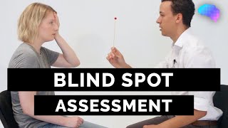 Blind Spot Assessment  OSCE Guide  UKMLA  CPSA [upl. by Annoved686]