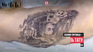 Un artiste russe drogue son chat pour le tatouer [upl. by Edmead]