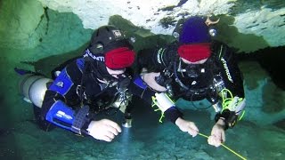 Cave Diving in Mexico with Steve Martin  Oct 2014 [upl. by Fiore]