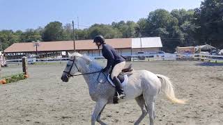 Gin Joint  Fair Hill Thoroughbred Show  JuniorAmateur Hunter over fences 91424 [upl. by Rayham]