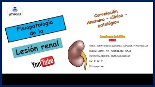 INJURIA RENAL FISIOPATOLOGIA DE LA FALLA RENAL [upl. by Arlan]