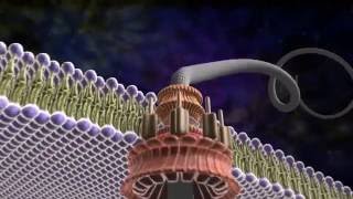 Amazing Flagellum  Michael Behe and the Revolution of Intelligent Design [upl. by Neirad639]