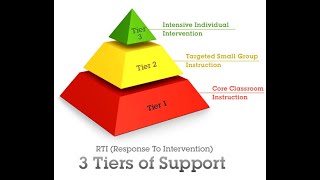 Pre Referral Process [upl. by Leihcim]