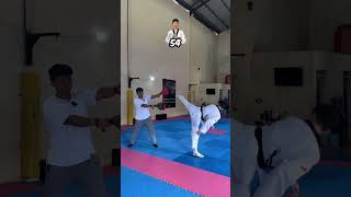 Taekwondo vs Karate Banyak Banyakan Tendangan [upl. by Cuttler]