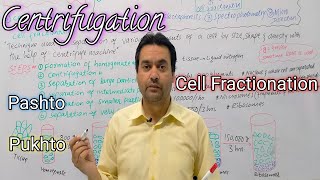 Centrifugation  Cell Fractionation  Biology  Class 11  Dr Mushtaq Pashto Lectures [upl. by Blane]