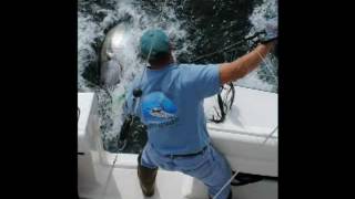 Blue Fin Tuna Fishing in Cape Codmpg [upl. by Nodle]