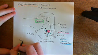 The Neurobiology of Drug Addiction Part 4 [upl. by Ledarf]