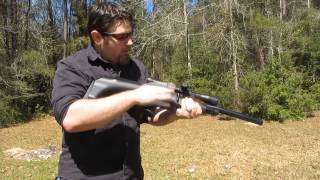 FX Verminator MK1 Tactical 22 caliber  Review [upl. by Noelopan]