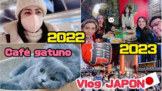 Pasé el año nuevo sin la familia pero con  Mi primer café de GATOS ONLY IN JAPAN sandyael vlog [upl. by Burrow849]