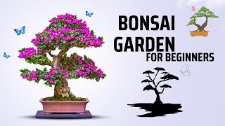 Creating a Pine Bonsai [upl. by Ardaed]