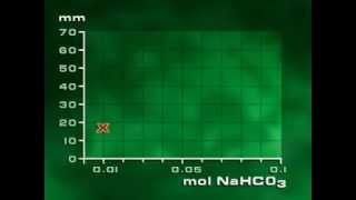 Photosynthesis in Elodea [upl. by Lew]