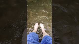 toes in the water 😁 scraplife [upl. by Aniraad]