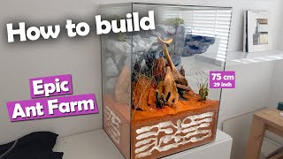 How to Build an EPIC Ant Farm  DIY Formicarium [upl. by Gav912]